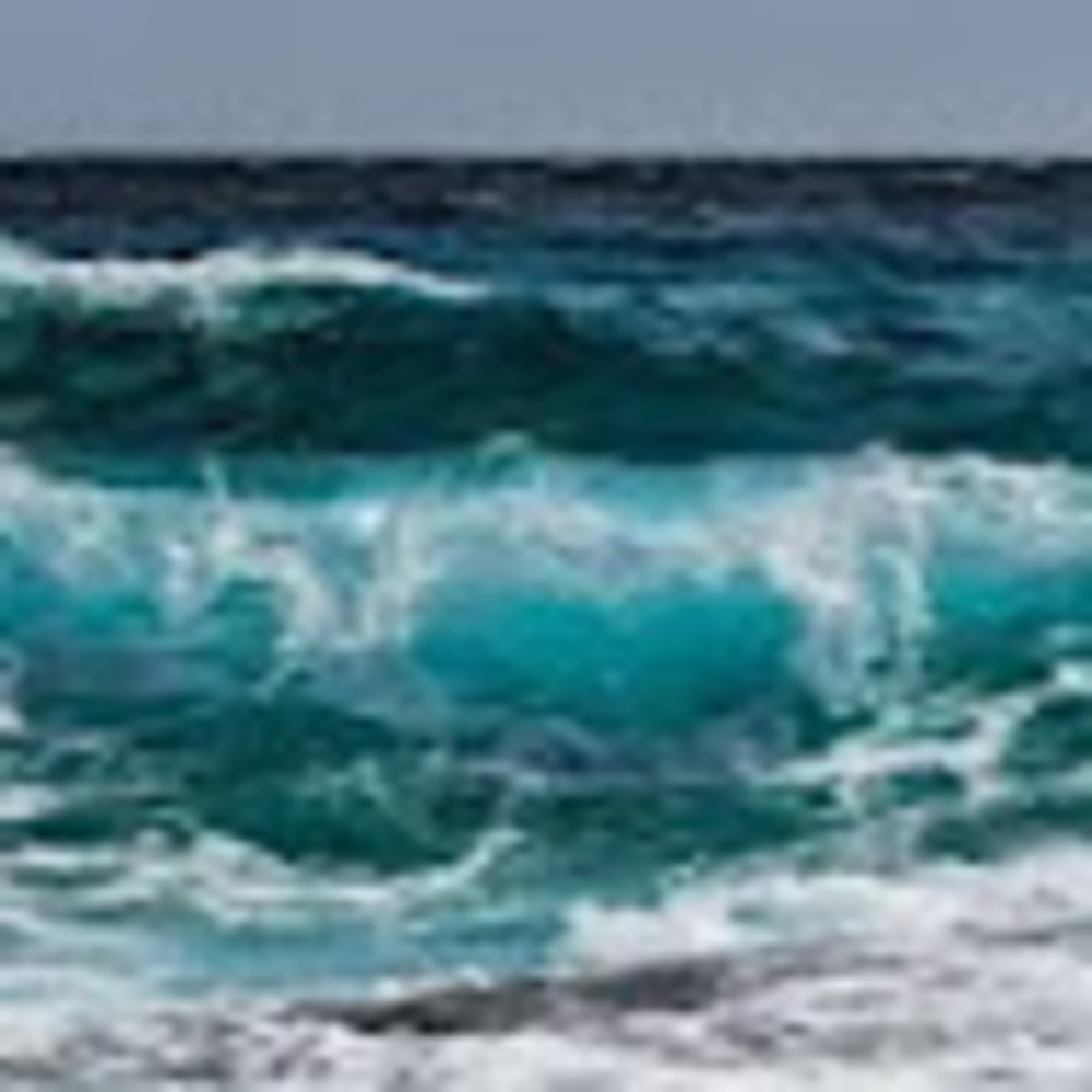 Meet your Posher, Laney